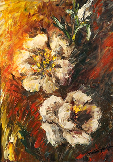 magnolie